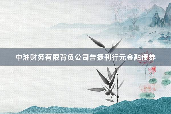 中油财务有限背负公司告捷刊行元金融债券