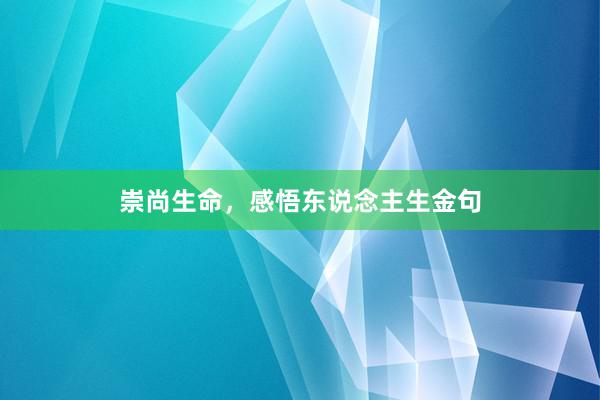 崇尚生命，感悟东说念主生金句