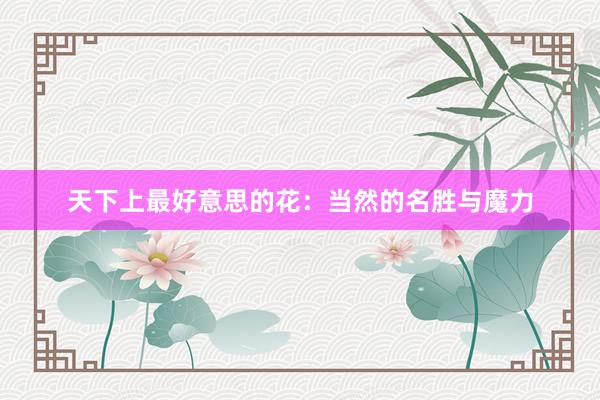 天下上最好意思的花：当然的名胜与魔力