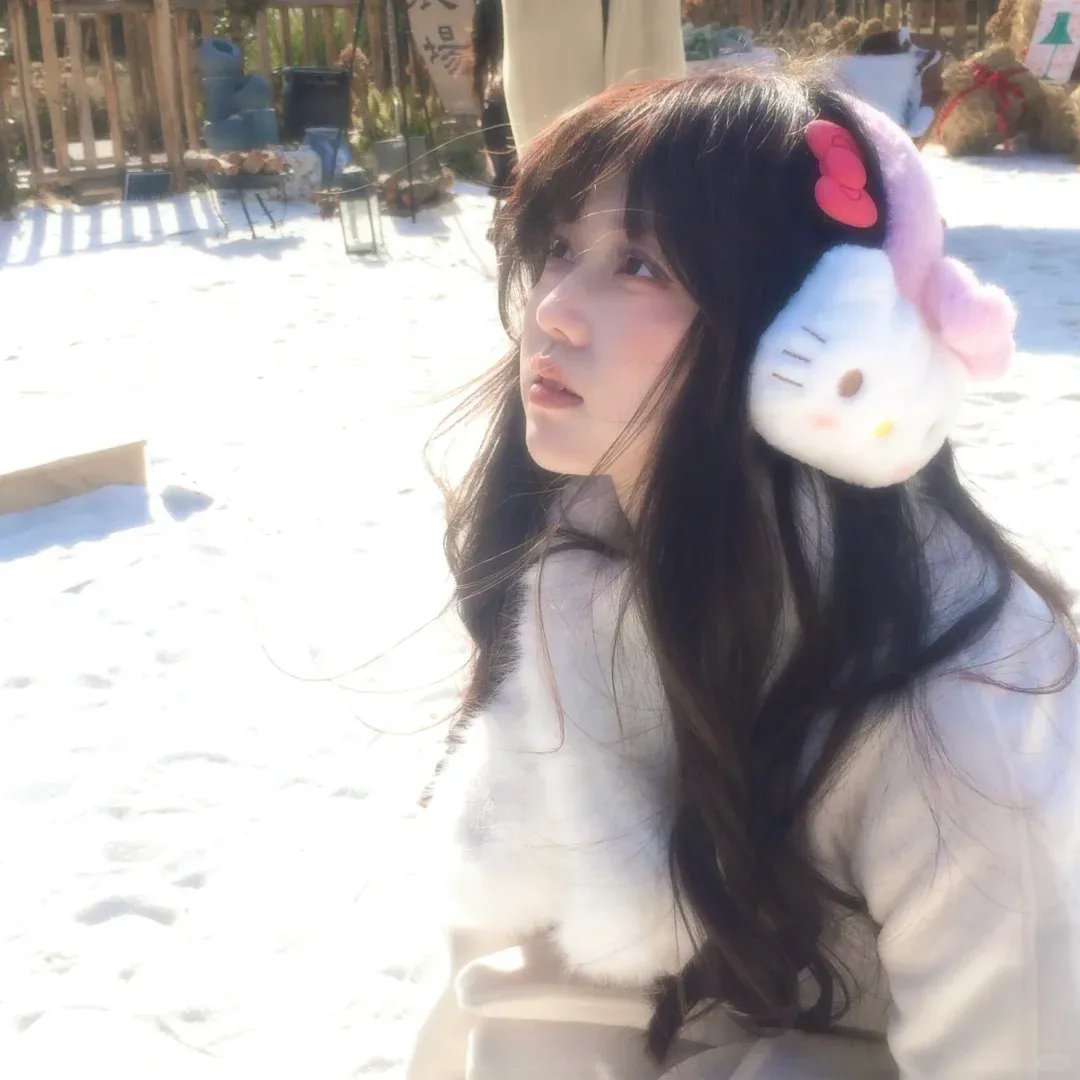 我自己的爱达荷